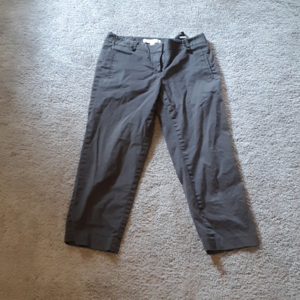 Ann Taylor Loft bottoms